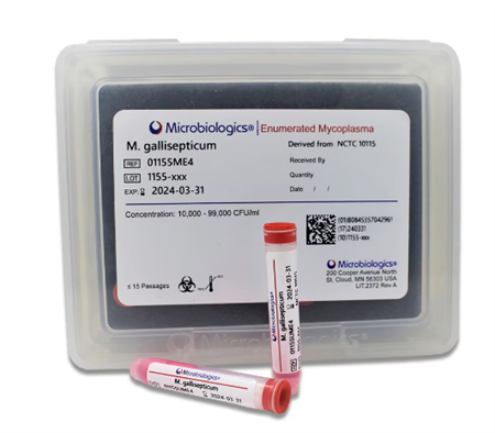 Mycoplasma gallisepticum derived from NCTC 10115
