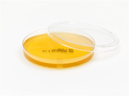 Legionella zonder antibiotica 9 cm 16 gram, single wrapped