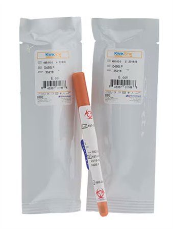 GBS QC Set (Live Culture)