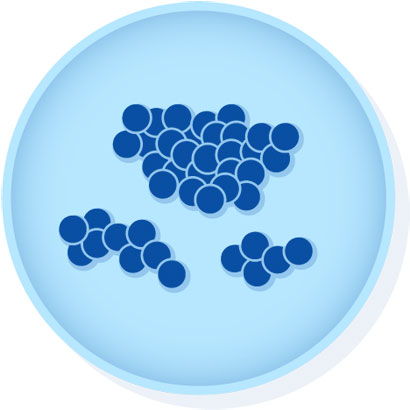 Enterococcus faecium derived from ATCC® 8459™