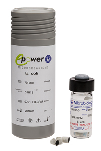 Aspergillus fumigatus derived from ATCC® 204305™