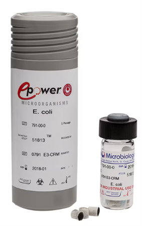 Aspergillus fumigatus derived from ATCC® 204305™