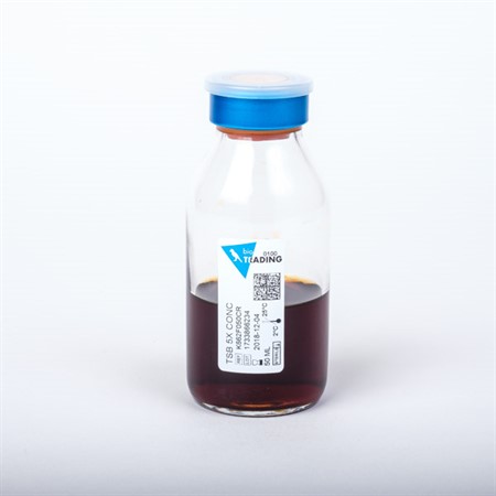 TSB 5x CONC 20 ml in 100 ml Infusion bottle, blue felscap