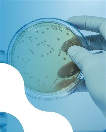 Join Miclev as a Product Specialist – Finland