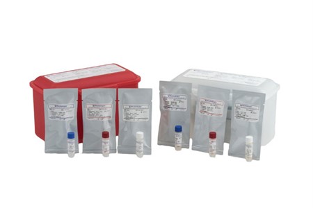 Gram-Negative Blood Culture Control Panel (Inactivated Pellet)