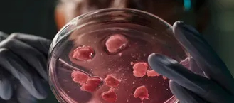 Webinar: Biological Indicators for VHP Decontamination